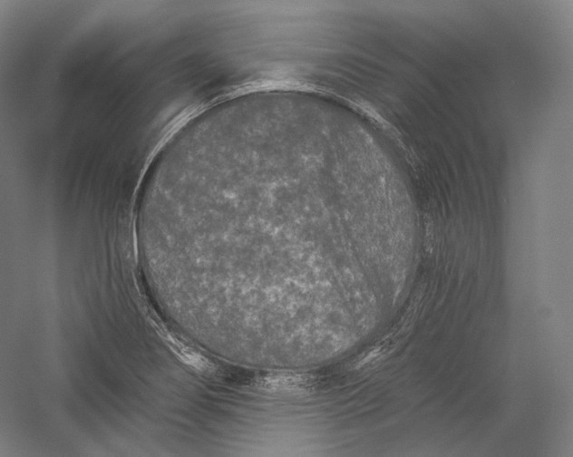 X0000055971274200509091434