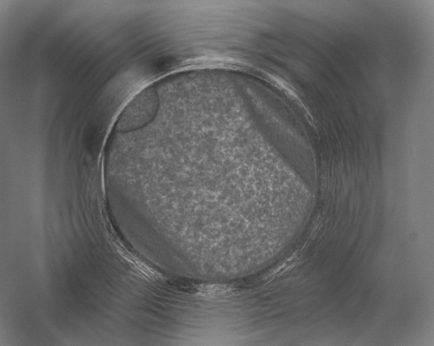 X0000055971275200509091434