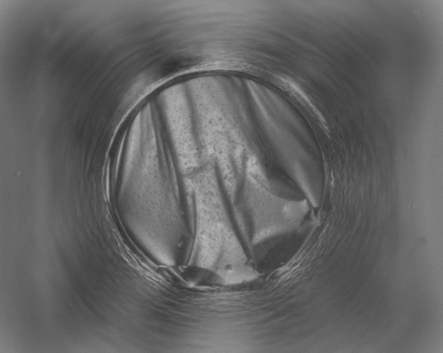 X0000055971276200509091434