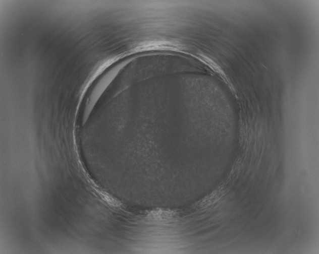 X0000055971277200509091434