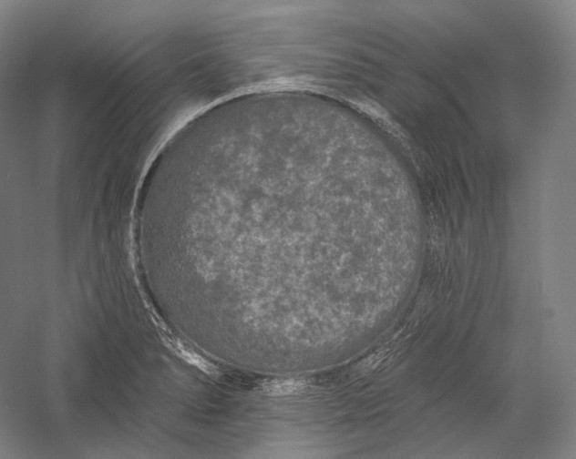 X0000055971278200509091434