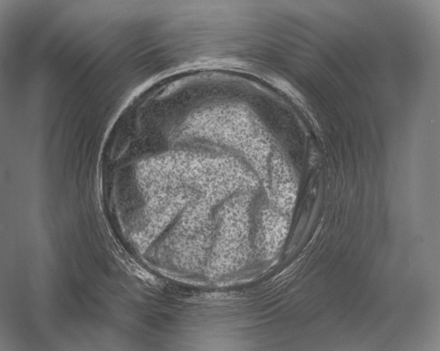 X0000055971280200509091434