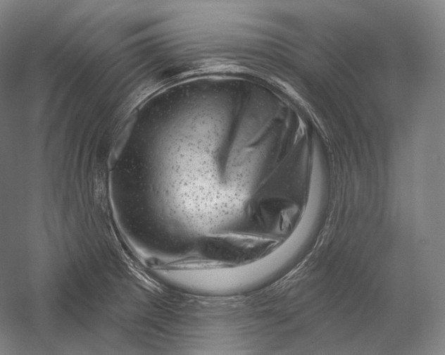 X0000055971281200509091434