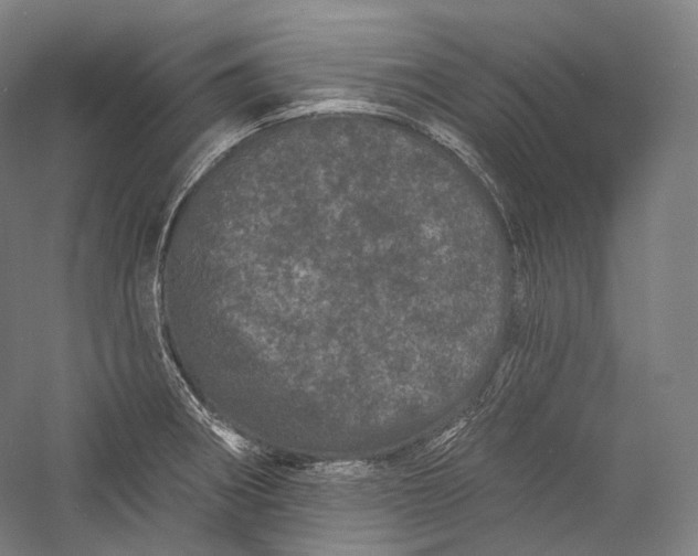 X0000055971282200509091434