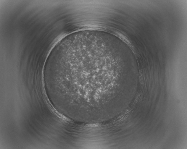 X0000055971283200509091434