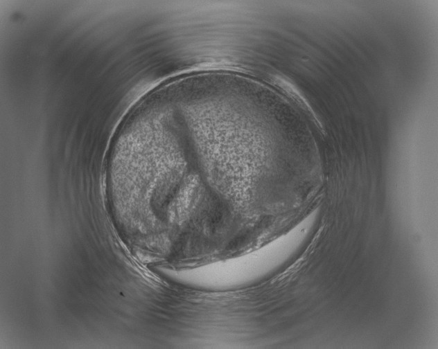 X0000055971284200509091434