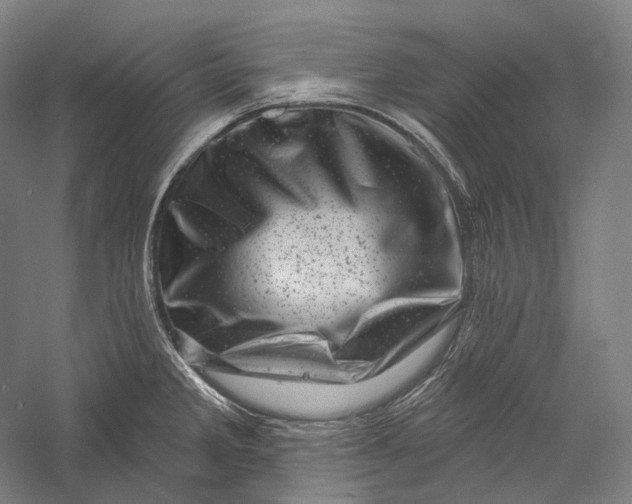 X0000055971285200509091434