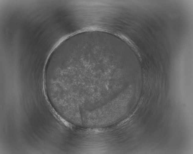 X0000055971286200509091434