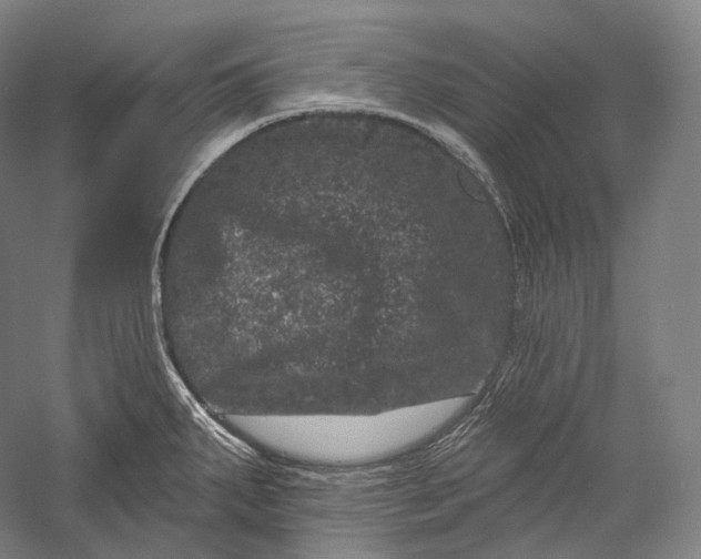 X0000055971287200509091434