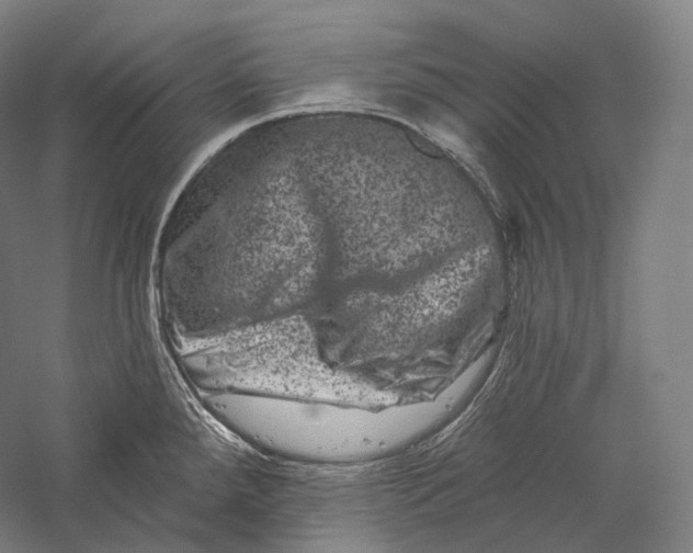 X0000055971288200509091434