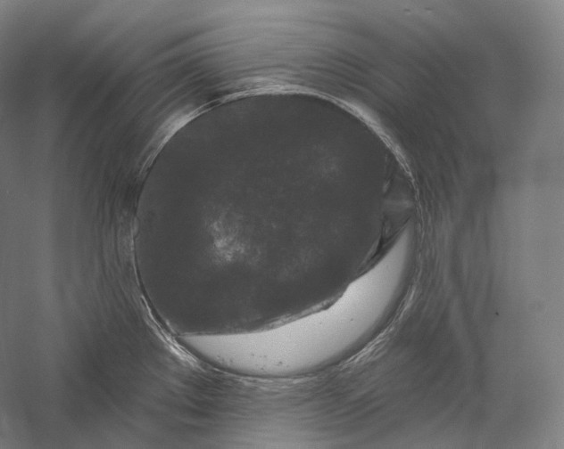 X0000055971289200509091434