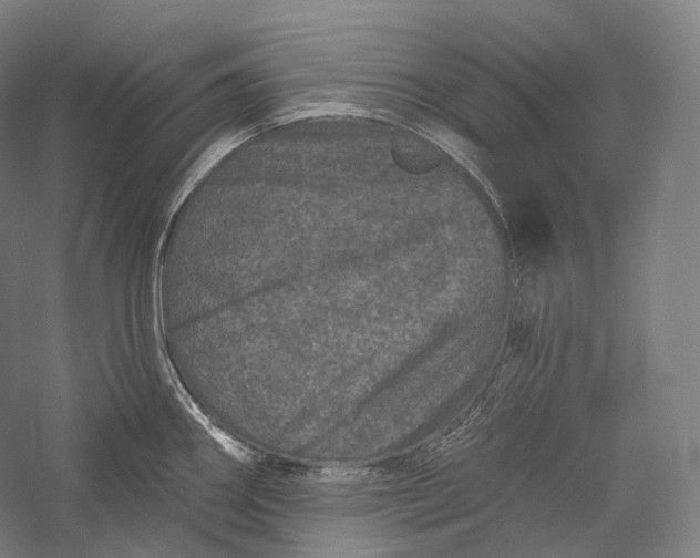 X0000055971290200509091434