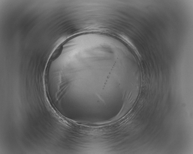 X0000055971291200509091434