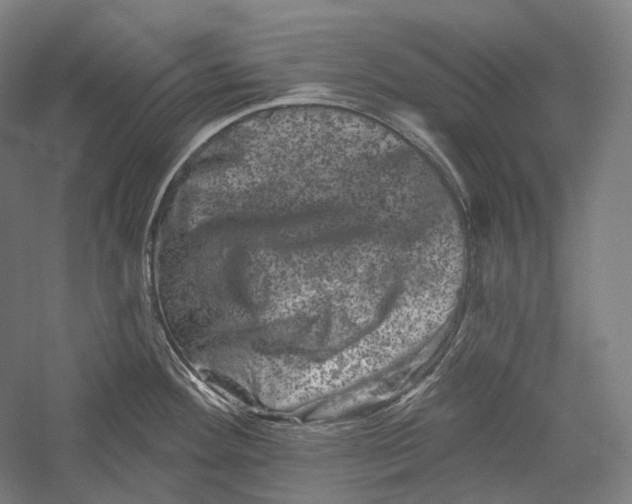 X0000055971292200509091434