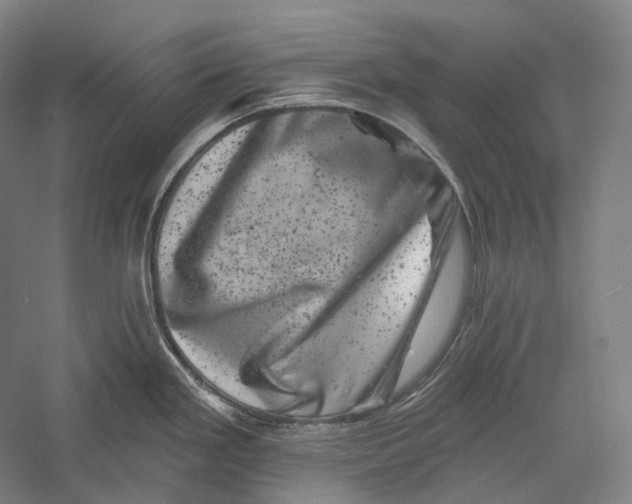 X0000055971293200509091434