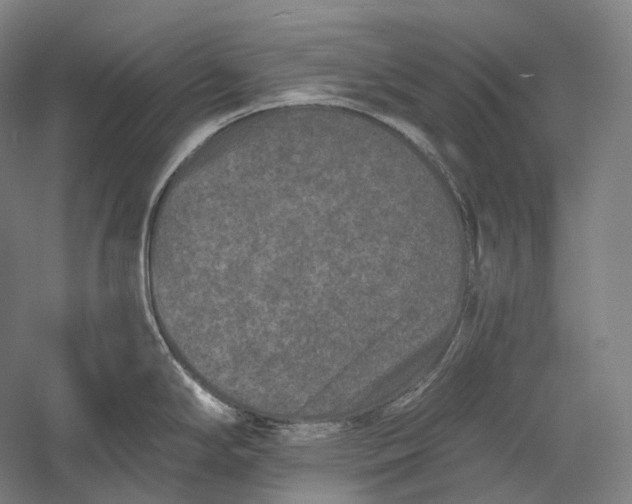 X0000055971294200509091434