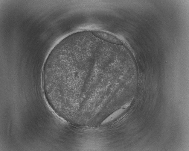 X0000055971295200509091434