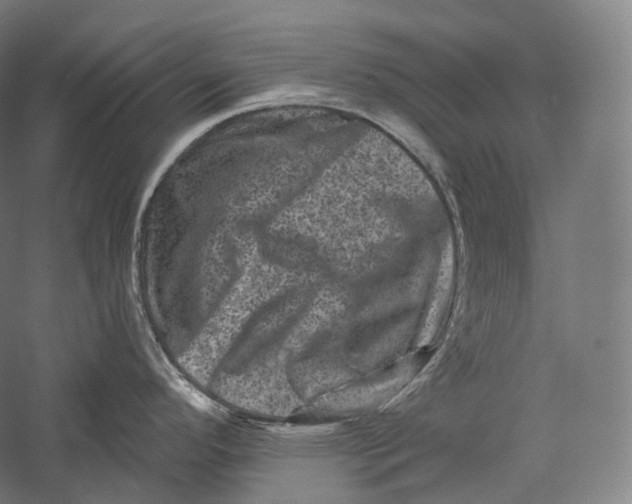 X0000055971296200509091434