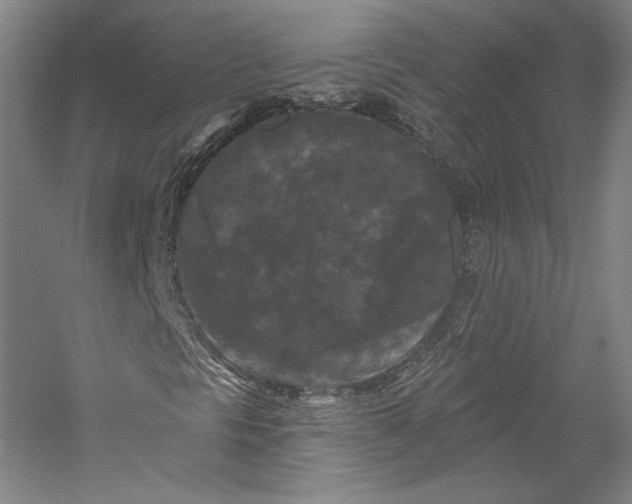 X0000055971297200509091433