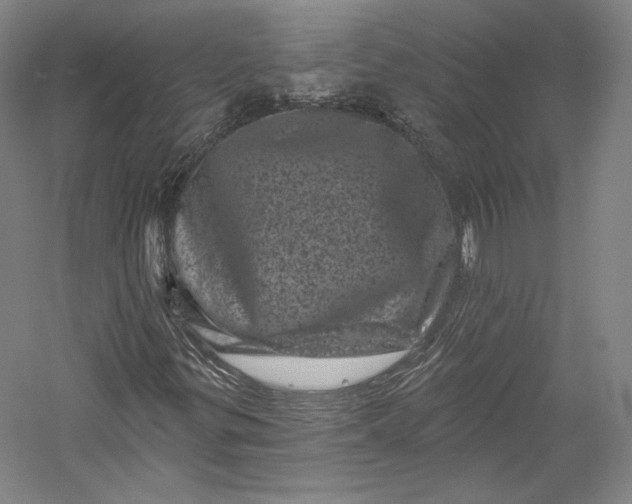 X0000055971299200509091433