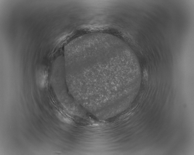 X0000055971300200509091433