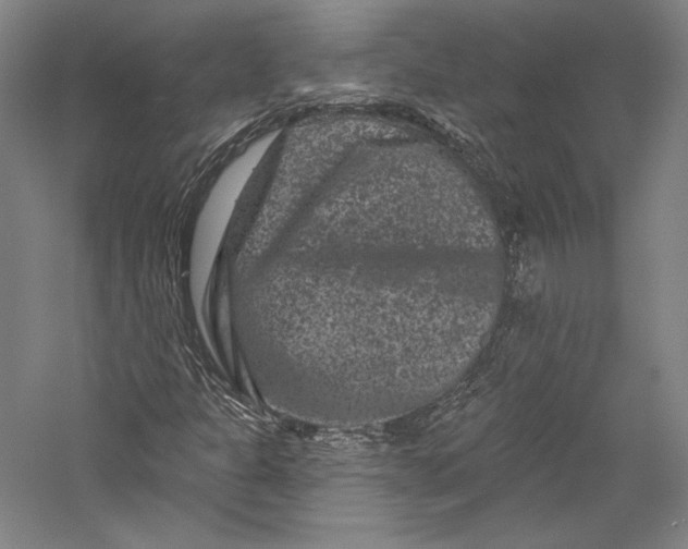 X0000055971301200509091433