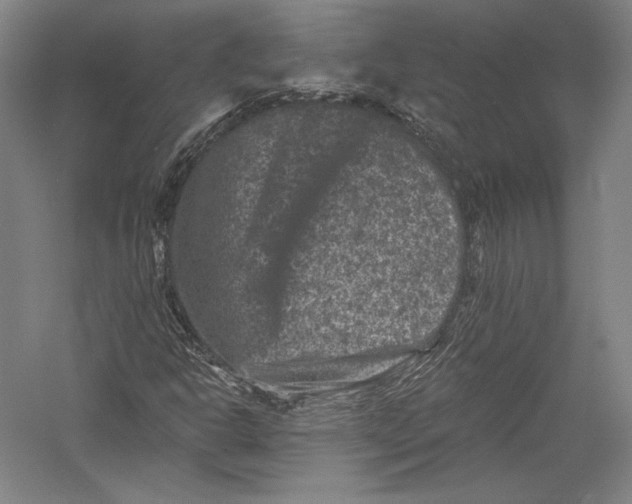 X0000055971302200509091433