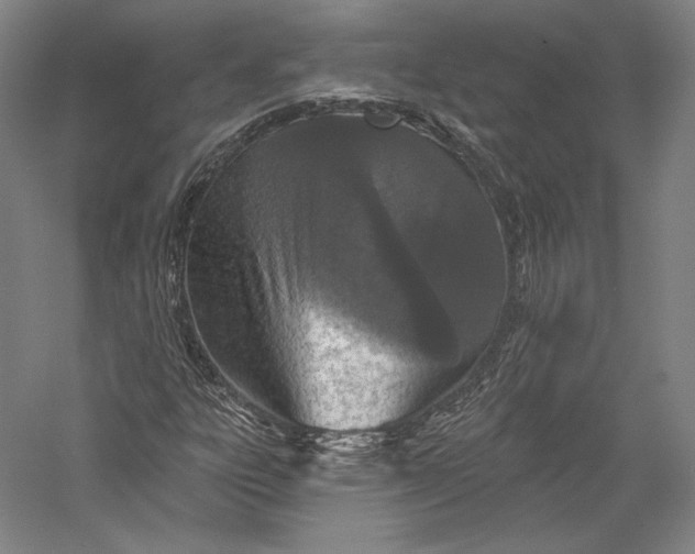 X0000055971303200509091433