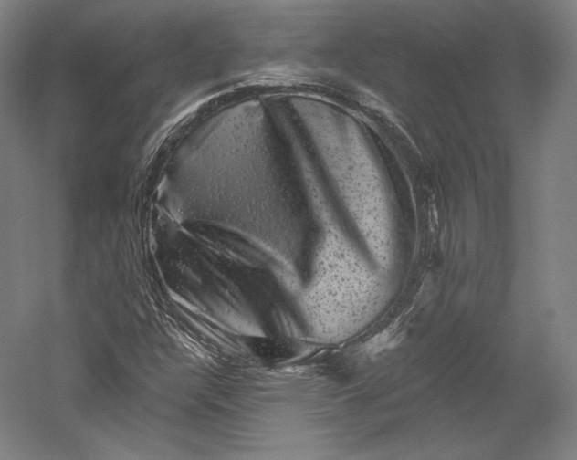 X0000055971304200509091433