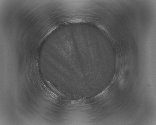 X0000055971305200509091433