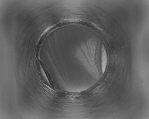 X0000055971306200509091433