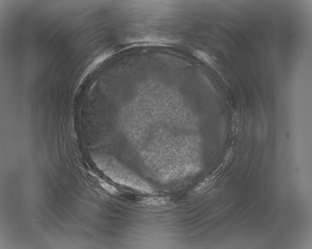 X0000055971307200509091433