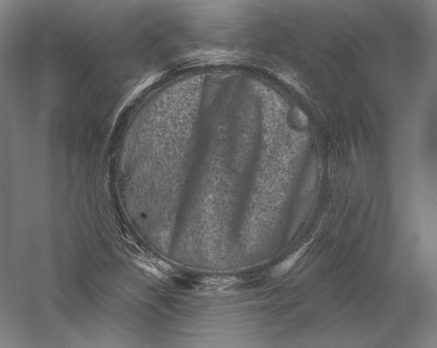 X0000055971309200509091433