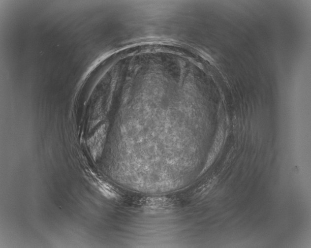 X0000055971310200509091433