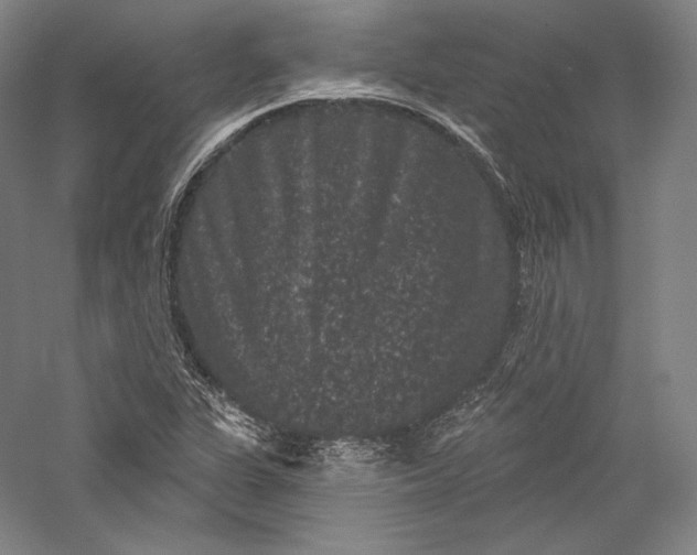 X0000055971311200509091433