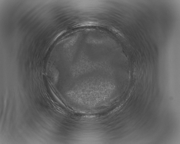 X0000055971313200509091433