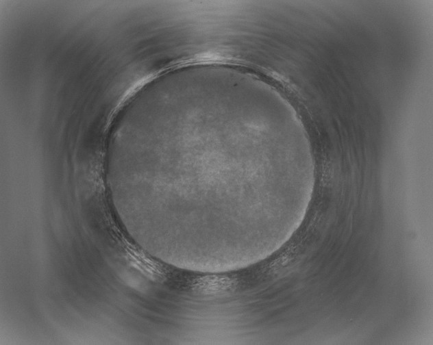 X0000055971314200509091433