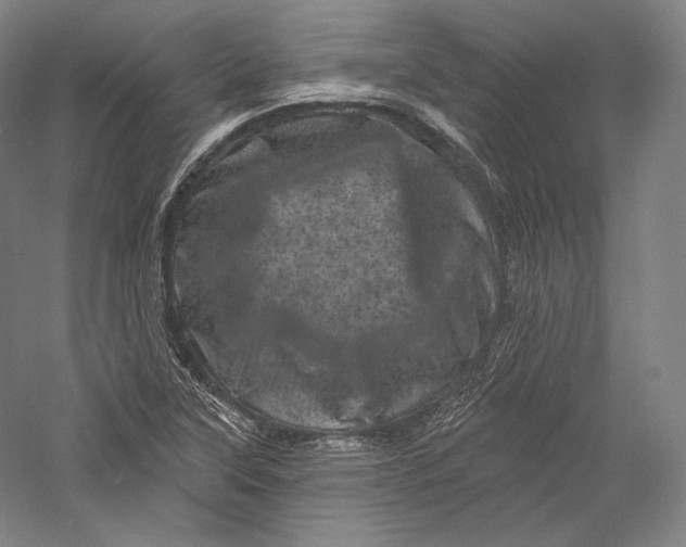 X0000055971315200509091433