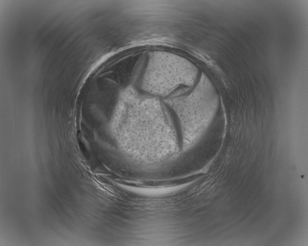 X0000055971316200509091433