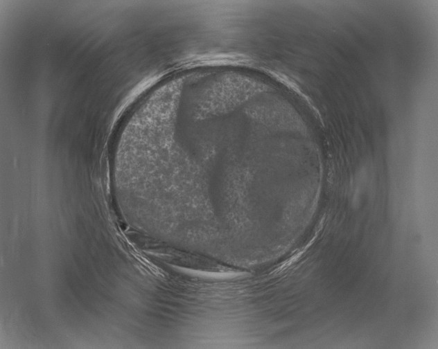 X0000055971317200509091434