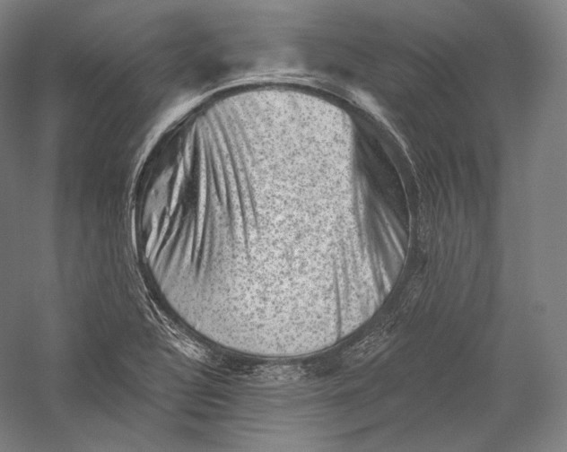 X0000055971320200509091434