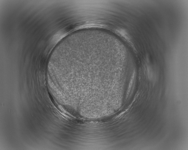 X0000055971321200509091434