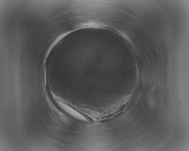 X0000055971323200509091434