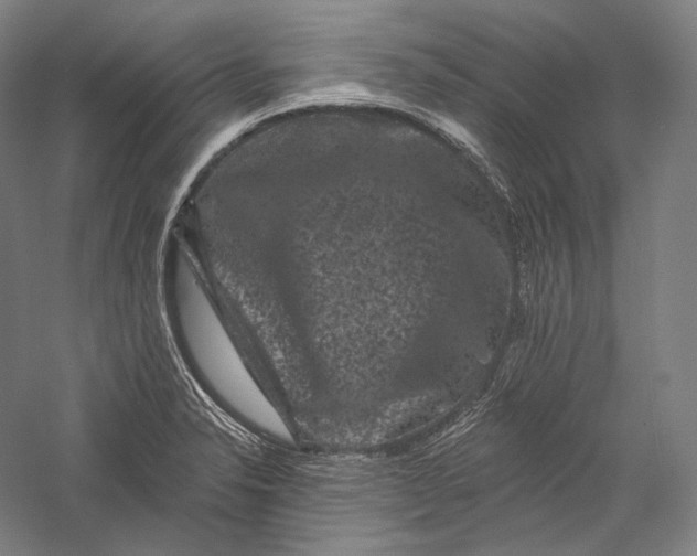 X0000055971326200509091434