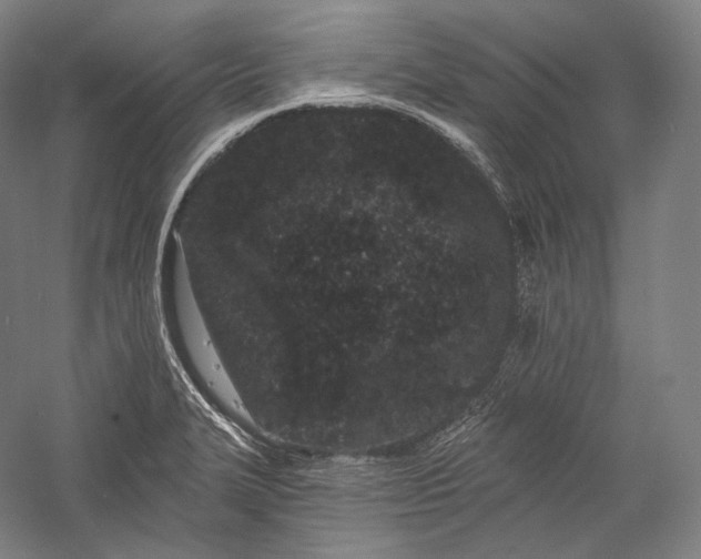 X0000055971327200509091434