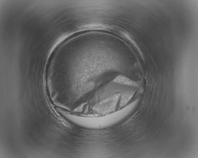 X0000055971328200509091434