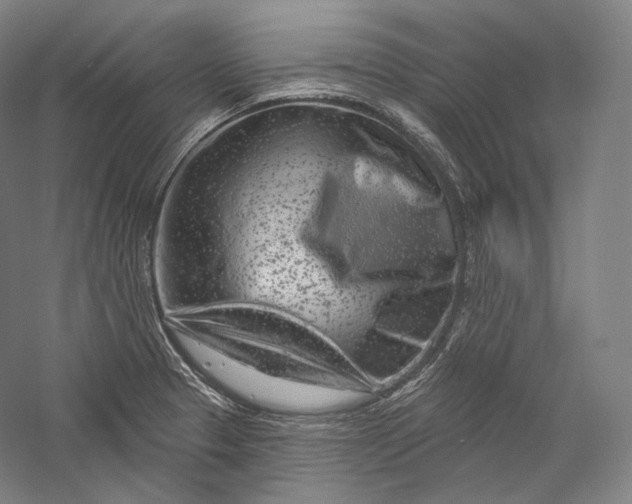 X0000055971329200509091434