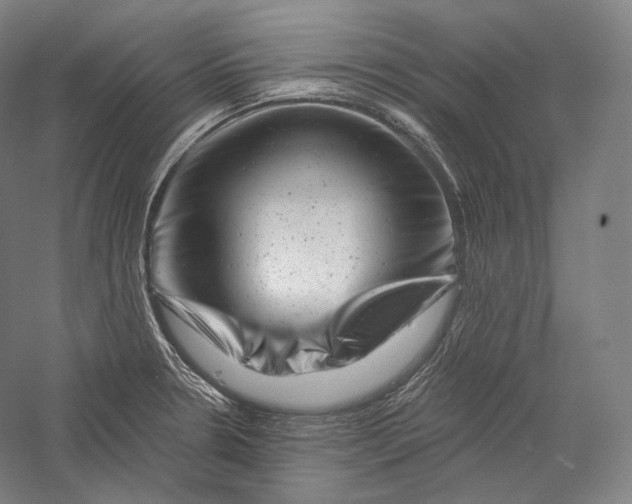 X0000055971330200509091434