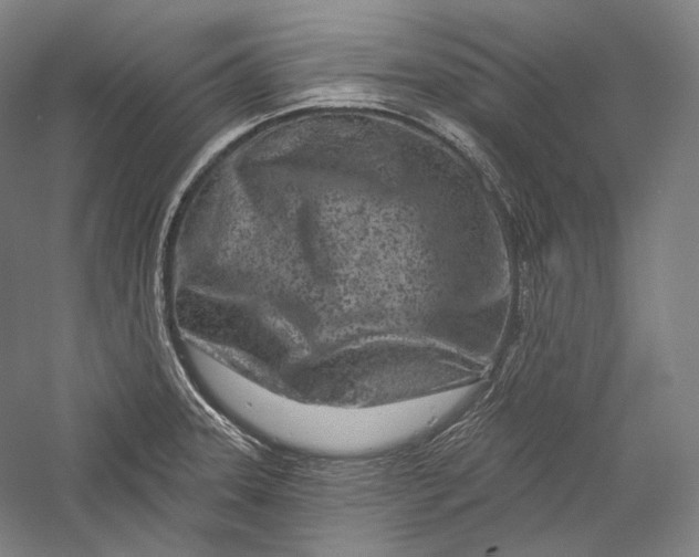 X0000055971331200509091434