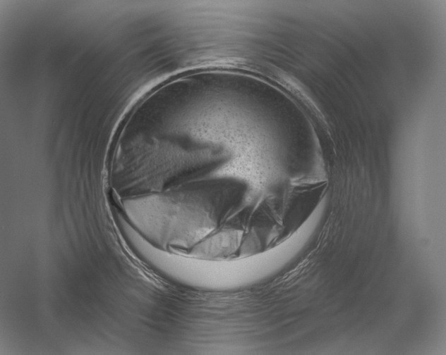 X0000055971332200509091434